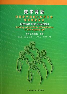 数字背后 pdf epub mobi 电子书 下载