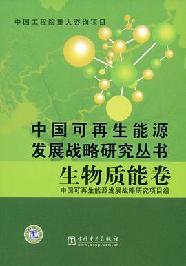 生物质能卷/中国可再生能源发展战略研究丛书 pdf epub mobi 电子书 下载