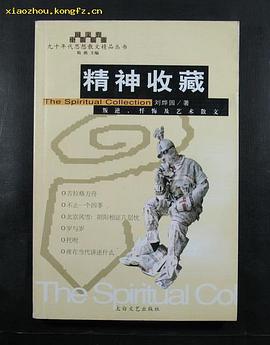 精神收藏 pdf epub mobi 电子书 下载