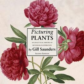 Picturing Plants pdf epub mobi 下载