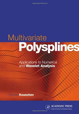 Multivariate Polysplines pdf epub mobi 电子书 下载