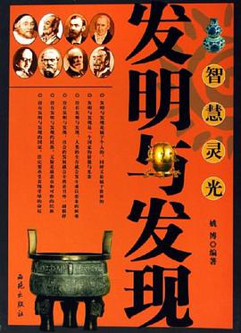 智慧灵光 pdf epub mobi 电子书 下载