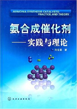 氨合成催化剂 pdf epub mobi 电子书 下载