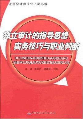 独立审计的指导思想实务技巧与职业判断 pdf epub mobi 电子书 下载