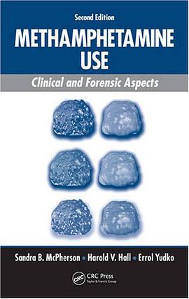 Methamphetamine Use pdf epub mobi 电子书 下载