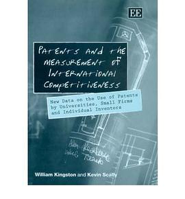 Patents and the Measurement of International Competitiveness