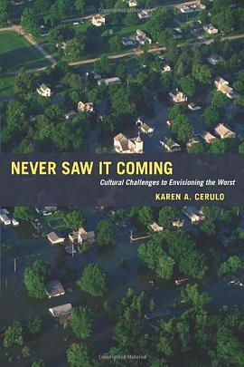 Never Saw It Coming pdf epub mobi 下载