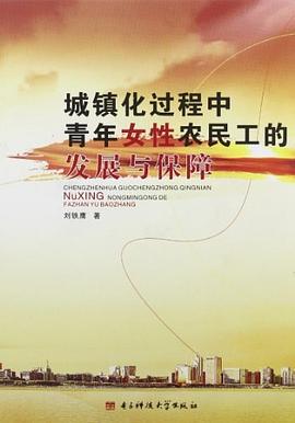 城镇化过程中青年女性农民工的发展与保障 pdf epub mobi 电子书 下载