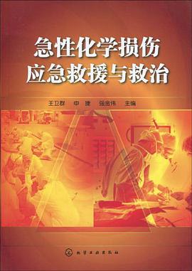 急性化学损伤应急救援与救治 pdf epub mobi 电子书 下载