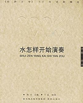 水怎样开始演奏 pdf epub mobi 电子书 下载