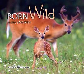 Born Wild in the Smokies pdf epub mobi 电子书 下载