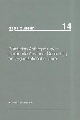 Practicing Anthropology in Corporate America pdf epub mobi 电子书 下载