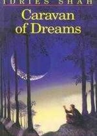 Caravan of Dreams pdf epub mobi 电子书 下载