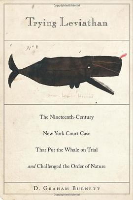 Trying Leviathan pdf epub mobi 电子书 下载
