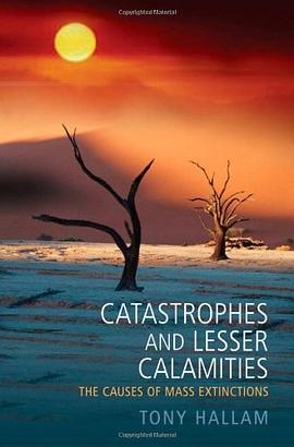 Catastrophes and Lesser Calamities pdf epub mobi 电子书 下载
