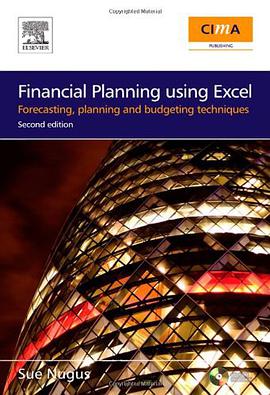 Financial Planning Using Excel, Second Edition pdf epub mobi 电子书 下载