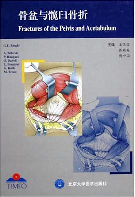 骨盆与髋臼骨折 pdf epub mobi 电子书 下载