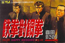 鐵拳對鋼拳18 pdf epub mobi 下载