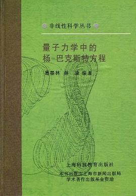 量子力学中的杨－巴克斯特方程 pdf epub mobi 下载