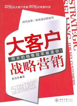 大客户战略营销 pdf epub mobi 电子书 下载