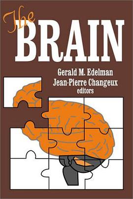 The Brain pdf epub mobi 电子书 下载