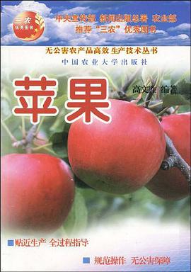苹果 pdf epub mobi 电子书 下载