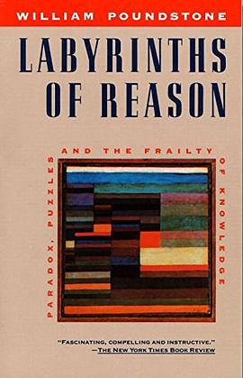 Labyrinths of Reason pdf epub mobi 电子书 下载