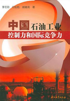 中国石油工业控制力和国际竞争力 pdf epub mobi 电子书 下载