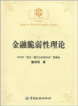 金融脆弱性理论 pdf epub mobi 电子书 下载