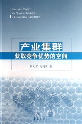 产业集群 pdf epub mobi 电子书 下载