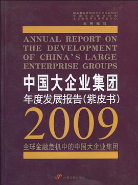中国大企业集团年度发展报告