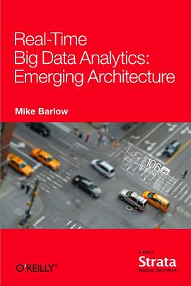 Real Time Big Data Analytics Emerging Architecture pdf epub mobi 電子書 下載