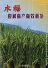 水稻良种高产高效栽培 pdf epub mobi 电子书 下载