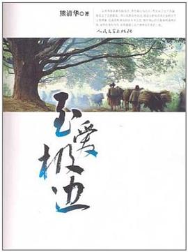 至爱极边 pdf epub mobi 电子书 下载