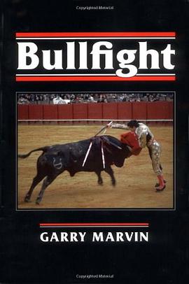 Bullfight pdf epub mobi 电子书 下载
