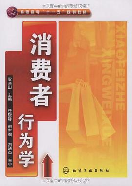 消费者行为学 pdf epub mobi 电子书 下载