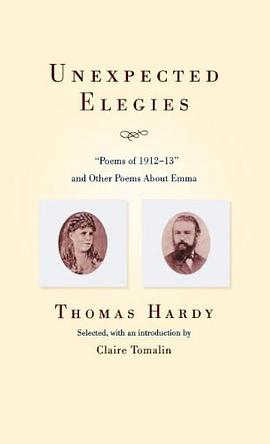 Unexpected Elegies pdf epub mobi 電子書 下載