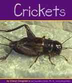 Crickets