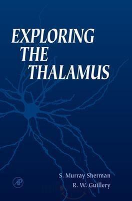 Exploring the Thalamus and Its Role in the Cortical Function
