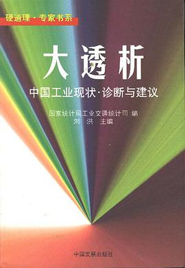 大透析--中国工业现状.诊断与建议 pdf epub mobi 电子书 下载