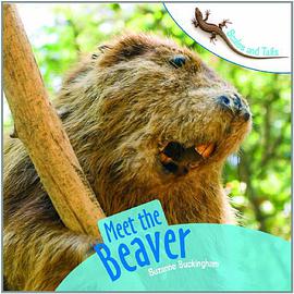 Meet the Beaver pdf epub mobi 电子书 下载