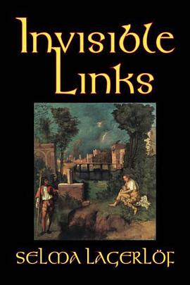 Invisible Links pdf epub mobi 下载