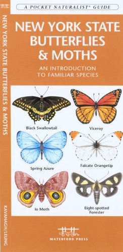 New York State Butterflies & Moths pdf epub mobi 电子书 下载