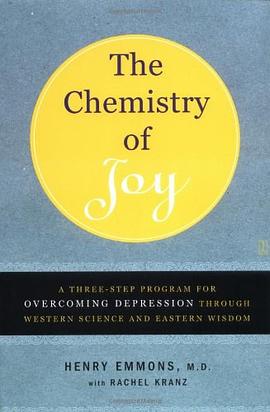 The Chemistry of Joy pdf epub mobi 電子書 下載