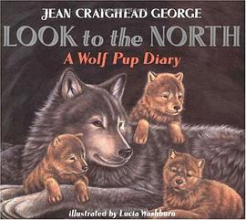 Look to the North pdf epub mobi 电子书 下载