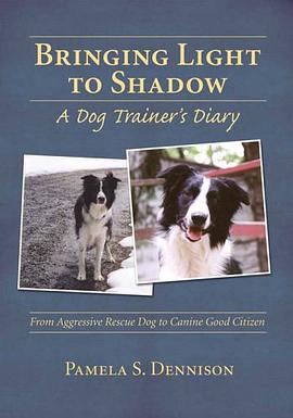 Bringing Light to Shadow pdf epub mobi 电子书 下载