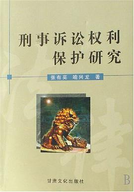 刑事诉讼权利保护研究