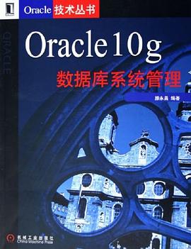 Oracle 10g数据库系统管理 pdf epub mobi 电子书 下载