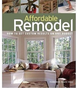 Affordable Remodel pdf epub mobi 电子书 下载