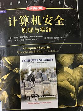 计算机安全:原理与实践(原书第三版） pdf epub mobi 电子书 下载